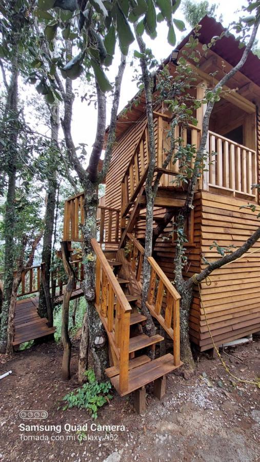Cabana En El Bosque De San Jose Del Pacifico Екстер'єр фото
