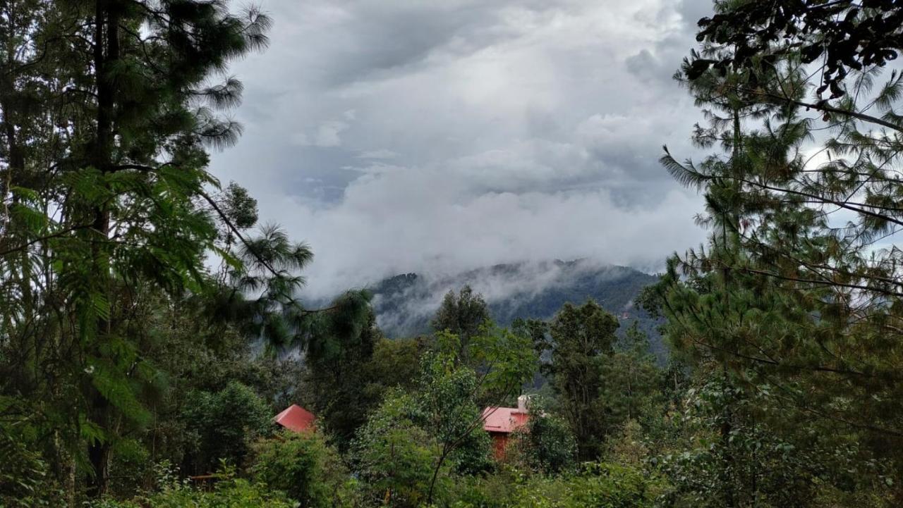 Cabana En El Bosque De San Jose Del Pacifico Екстер'єр фото