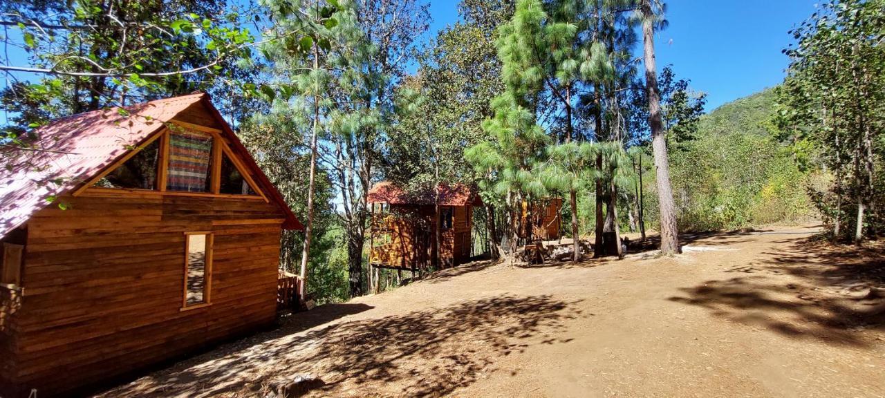 Cabana En El Bosque De San Jose Del Pacifico Екстер'єр фото