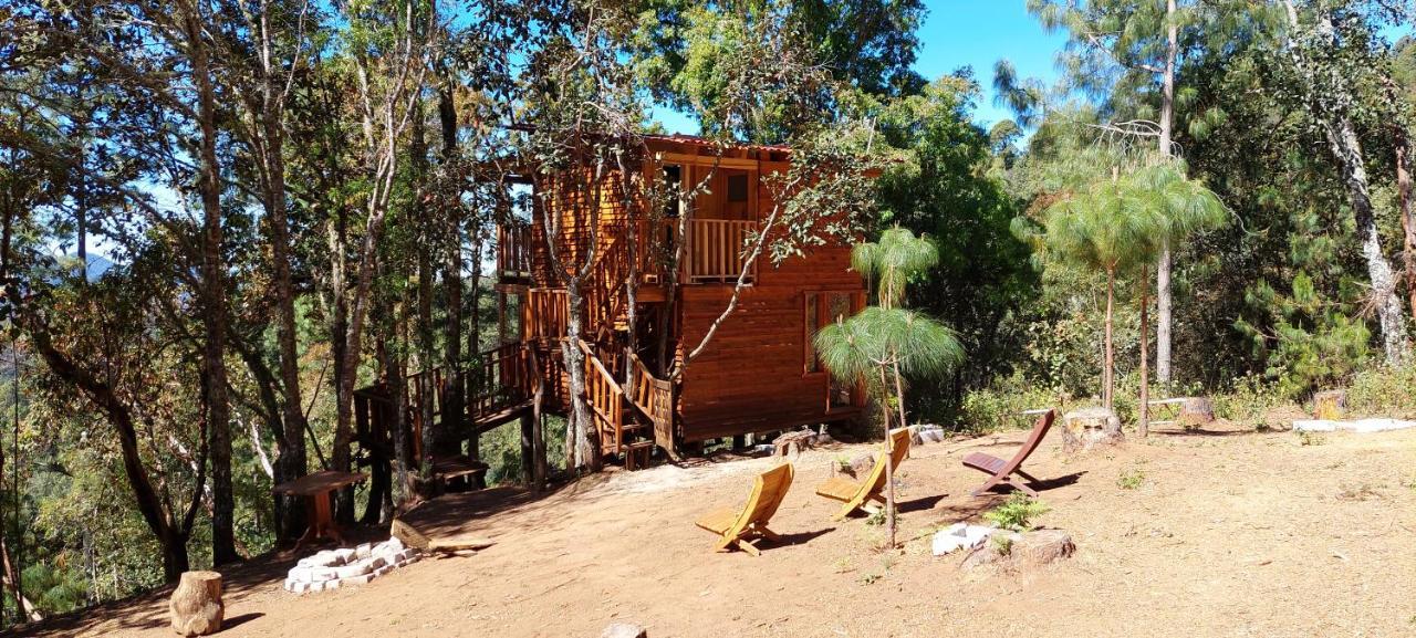 Cabana En El Bosque De San Jose Del Pacifico Екстер'єр фото
