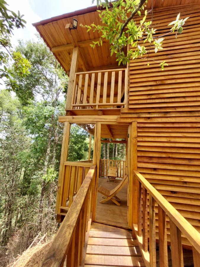 Cabana En El Bosque De San Jose Del Pacifico Екстер'єр фото